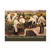 Parsley, Sage, Rosemary, and Thyme posters by Thunderhead Parsley, Sage, Rosemary, and Thyme posters
