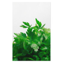 Parsley stationery by gavila_pt Parsley stationery