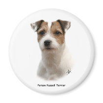 Parson Russell Terrier 9Y081D-014 magnets