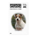 Parson Russell Terrier 9Y81D-014 postage