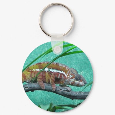 Parson's Chameleon Key Chain by smilodonart