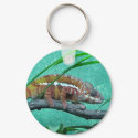Parson's Chameleon keychains