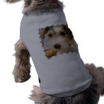 Parsons Terrier Pet Shirt
