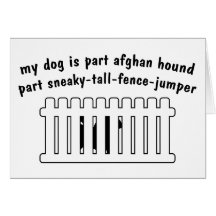 Part Afghan Hound Part Fence-Jumper Greeting Card