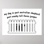 Part Australian Shepherd Part Fence-Jumper Print