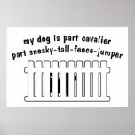 Part Cavalier Part Fence-Jumper Posters