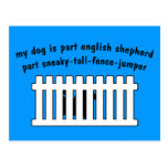 Part English Shepherd Part Fence-Jumper Postcards