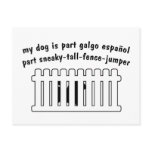Part Galgo Espanol Part Fence-Jumper Post Cards