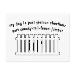Part German Shorthair Part Fence-Jumper Postcards