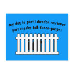 Part Labrador Retriever Part Fence-Jumper Postcard