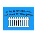 Part Mini Aussie Part Fence-Jumper Postcards