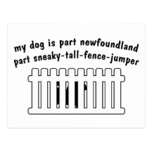 Part Newfoundland Part Fence-Jumper Postcard