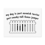 Part Norwich Terrier Part Fence-Jumper Post Cards
