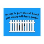 Part Pharaoh Hound Part Fence-Jumper Postcards