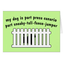 Part Presa Canario Part Fence-Jumper Cards