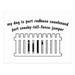 Part Redbone Coonhound Part Fence-Jumper Post Cards