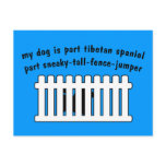 Part Tibetan Spaniel Part Fence-Jumper Postcard