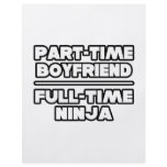 Part Time Boyfriend...Full Time Ninja Flyers