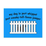 Part Whippet Part Fence-Jumper Postcards