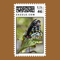 Parthenos Sylvia Violacae stamps