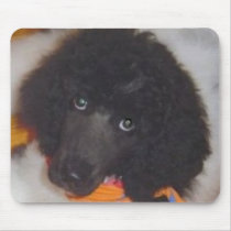 Parti Color Standard Poodle mousepads by lovemydogs22 Parti Color Standard Poodle mousepads