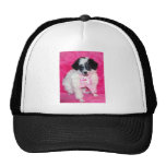 Parti Poodle Puppy in Pink Trucker Hat