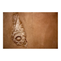 Partial Hieroglyph posters by steph9668 Partial Hieroglyph posters