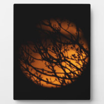Partial Lunar Eclipse Silhouette Photo Plaque
