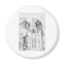 Partial Ribs and Pelvic Vintage Skeletal Diagram Magnets