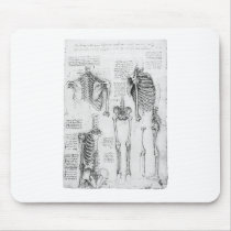Partial Ribs and Pelvic Vintage Skeletal Diagram Mousepad