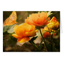 Parties Greeting Cards