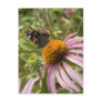 partnership, symbiotic, helping, beauty, post card