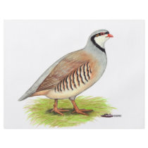 Partridge:  Chukar flyers
