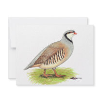 Partridge:  Chukar invitations