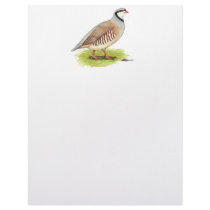 Partridge:  Chukar letterhead