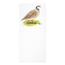 Partridge:  Chukar rack cards