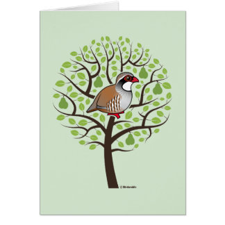 christmas partridge in a pear tree cards zazzle christmas partridge in a pear tree cards zazzle