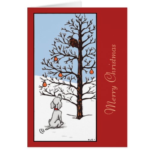 Partridge in a Pear Tree Greeting Cards