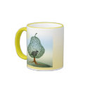 Partridge In A Pear Tree mugs by TDSwhite Partridge In A Pear Tree mugs