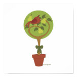 Partridge in a Pear Tree
