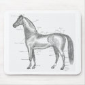 Parts of the Horse Mousepad by Lmystery Parts of the Horse Mousepad