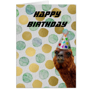 Alpaca Birthday Cards | Zazzle