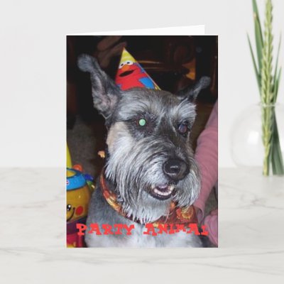 Party Animal, Birthday Card from Zazzle.com