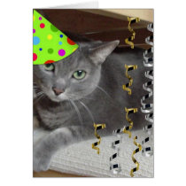 Party Animal Gray Cat Card