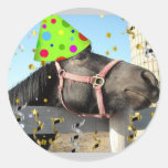 Party Animal Horse Stickers