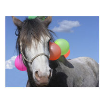 Party Animal Post Cards