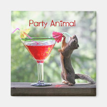 Party Animal Squirrel Fridge Magnets