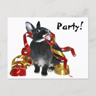 Party Bunny