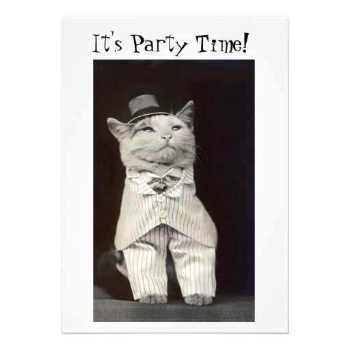 Party Cat 4