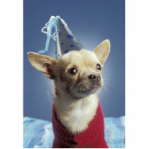 Party Dog Photo Sculpture